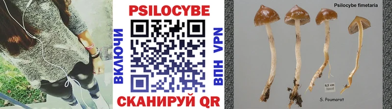 mega ССЫЛКА  Белая Холуница  Галлюциногенные грибы Psilocybe 